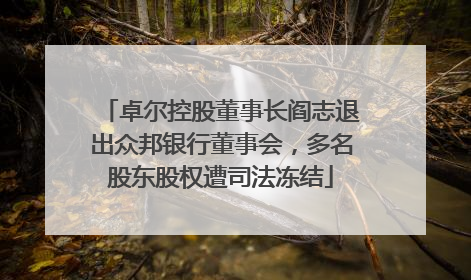 卓尔控股董事长阎志退出众邦银行董事会，多名股东股权遭司法冻结