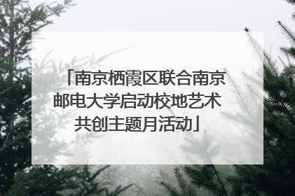 南京栖霞区联合南京邮电大学启动校地艺术共创主题月活动