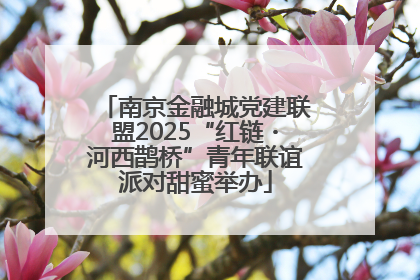 南京金融城党建联盟2025“红链・河西鹊桥”青年联谊派对甜蜜举办