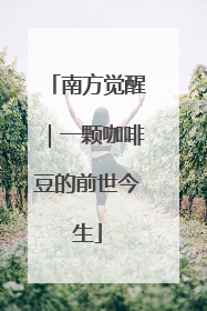南方觉醒｜一颗咖啡豆的前世今生