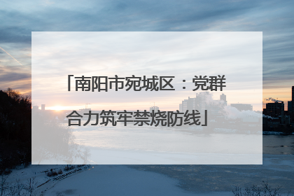 南阳市宛城区：党群合力筑牢禁烧防线