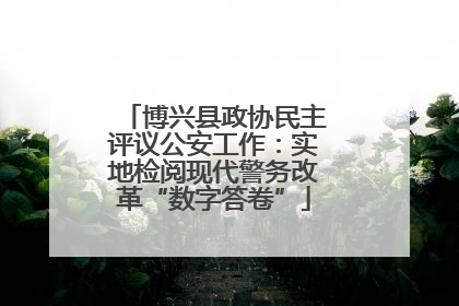 博兴县政协民主评议公安工作：实地检阅现代警务改革“数字答卷”