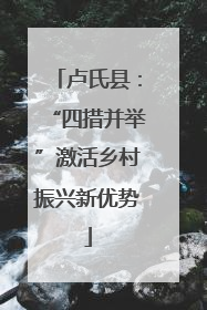 卢氏县：“四措并举”激活乡村振兴新优势