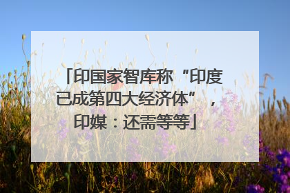 印国家智库称“印度已成第四大经济体”，印媒：还需等等