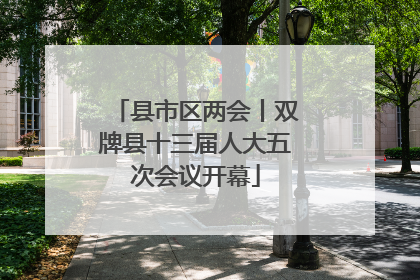 县市区两会丨双牌县十三届人大五次会议开幕