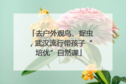 去户外观鸟、捉虫，武汉流行带孩子“培优”自然课