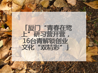 厦门“青春在鹭上”研习营开营，16台青解锁创业文化“双精彩”