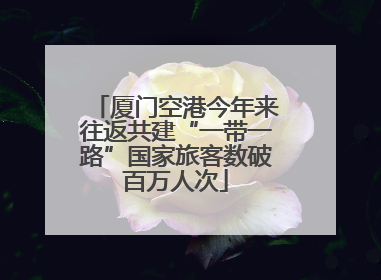 厦门空港今年来往返共建“一带一路”国家旅客数破百万人次