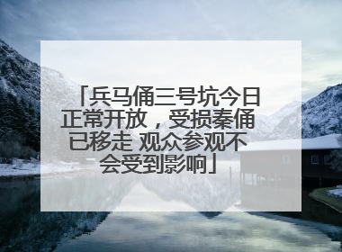 兵马俑三号坑今日正常开放，受损秦俑已移走 观众参观不会受到影响
