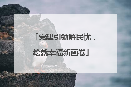 党建引领解民忧，绘就幸福新画卷