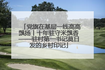 党旗在基层一线高高飘扬丨十年驻守米飘香——驻村第一书记莫日发的乡村印记