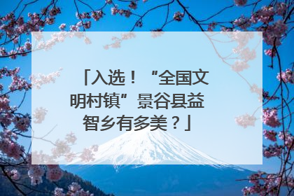 入选！“全国文明村镇”景谷县益智乡有多美？