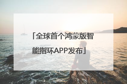 全球首个鸿蒙版智能指环APP发布