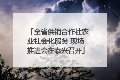 全省供销合作社农业社会化服务 现场推进会在泰兴召开