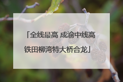 全线最高 成渝中线高铁田柳湾特大桥合龙
