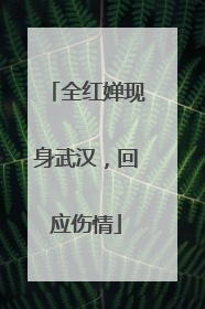 全红婵现身武汉，回应伤情
