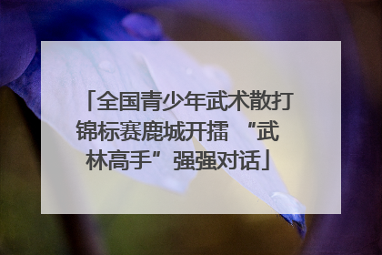 全国青少年武术散打锦标赛鹿城开擂 “武林高手”强强对话