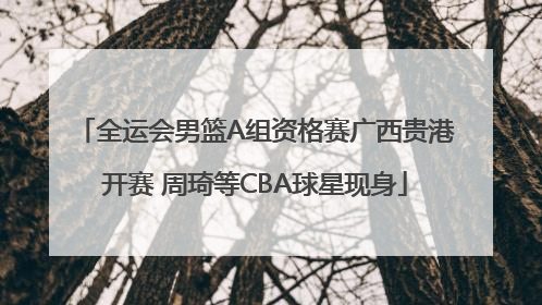 全运会男篮A组资格赛广西贵港开赛 周琦等CBA球星现身