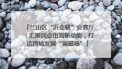 兰山区“沂企联”会客厅：汇聚民企出海新动能，打造跨境发展“强磁场”