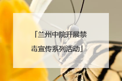 兰州中院开展禁毒宣传系列活动