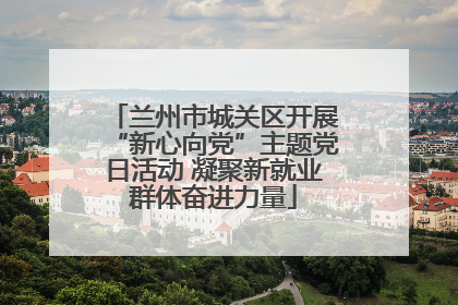 兰州市城关区开展“新心向党”主题党日活动 凝聚新就业群体奋进力量