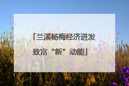 兰溪杨梅经济迸发致富“新”动能