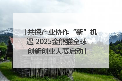共探产业协作“新”机遇 2025金熊猫全球创新创业大赛启动