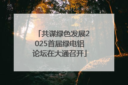 共谋绿色发展2025首届绿电铝论坛在大通召开