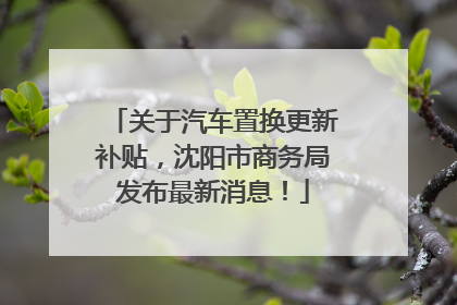 关于汽车置换更新补贴，沈阳市商务局发布最新消息！