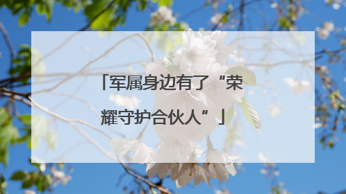 军属身边有了“荣耀守护合伙人”
