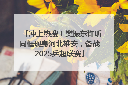 冲上热搜！樊振东许昕同框现身河北雄安，备战2025乒超联赛
