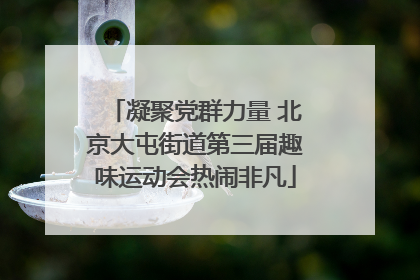 凝聚党群力量 北京大屯街道第三届趣味运动会热闹非凡