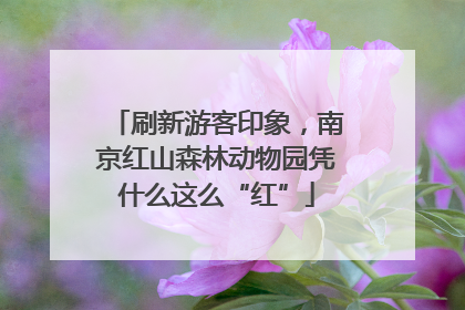 刷新游客印象，南京红山森林动物园凭什么这么“红”
