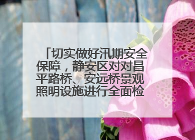 切实做好汛期安全保障，静安区对对昌平路桥、安远桥景观照明设施进行全面检查与维护