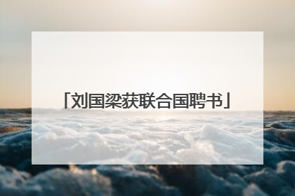 刘国梁获联合国聘书