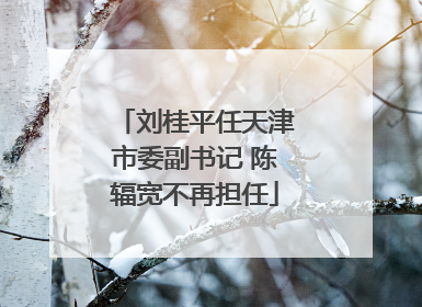 刘桂平任天津市委副书记 陈辐宽不再担任