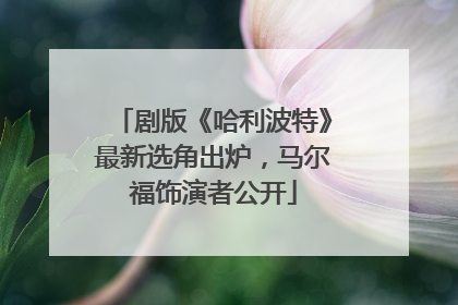 剧版《哈利波特》最新选角出炉，马尔福饰演者公开