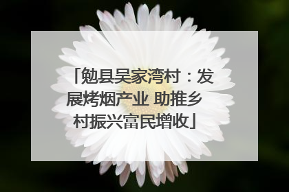 勉县吴家湾村：发展烤烟产业 助推乡村振兴富民增收