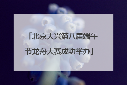 北京大兴第八届端午节龙舟大赛成功举办
