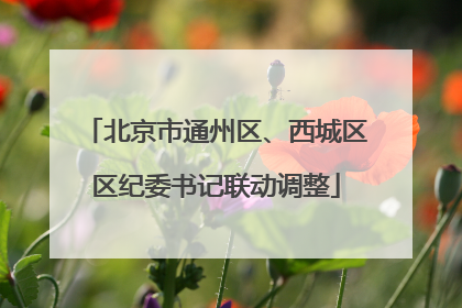 北京市通州区、西城区区纪委书记联动调整