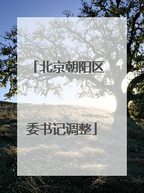 北京朝阳区委书记调整