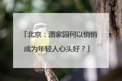 北京：潘家园何以悄悄成为年轻人心头好？