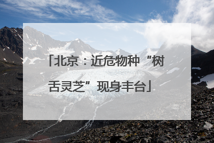 北京：近危物种“树舌灵芝”现身丰台