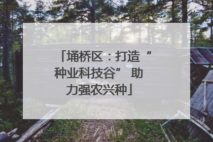埇桥区：打造“种业科技谷” 助力强农兴种