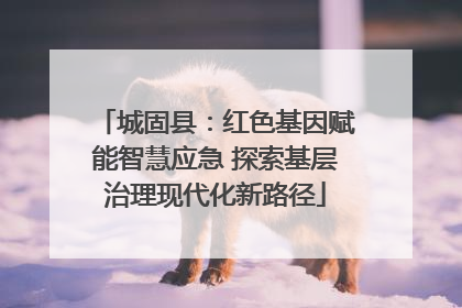 城固县：红色基因赋能智慧应急 探索基层治理现代化新路径