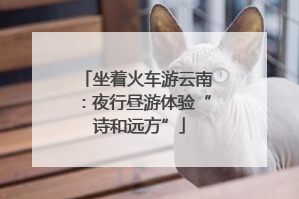 坐着火车游云南：夜行昼游体验“诗和远方”