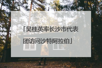 吴桂英率长沙市代表团访问沙特阿拉伯