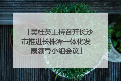吴桂英主持召开长沙市推进长株潭一体化发展领导小组会议
