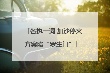 各执一词 加沙停火方案陷“罗生门”
