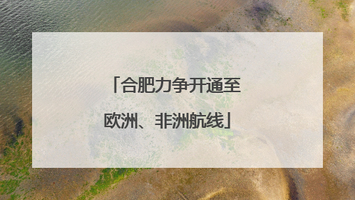 合肥力争开通至欧洲、非洲航线